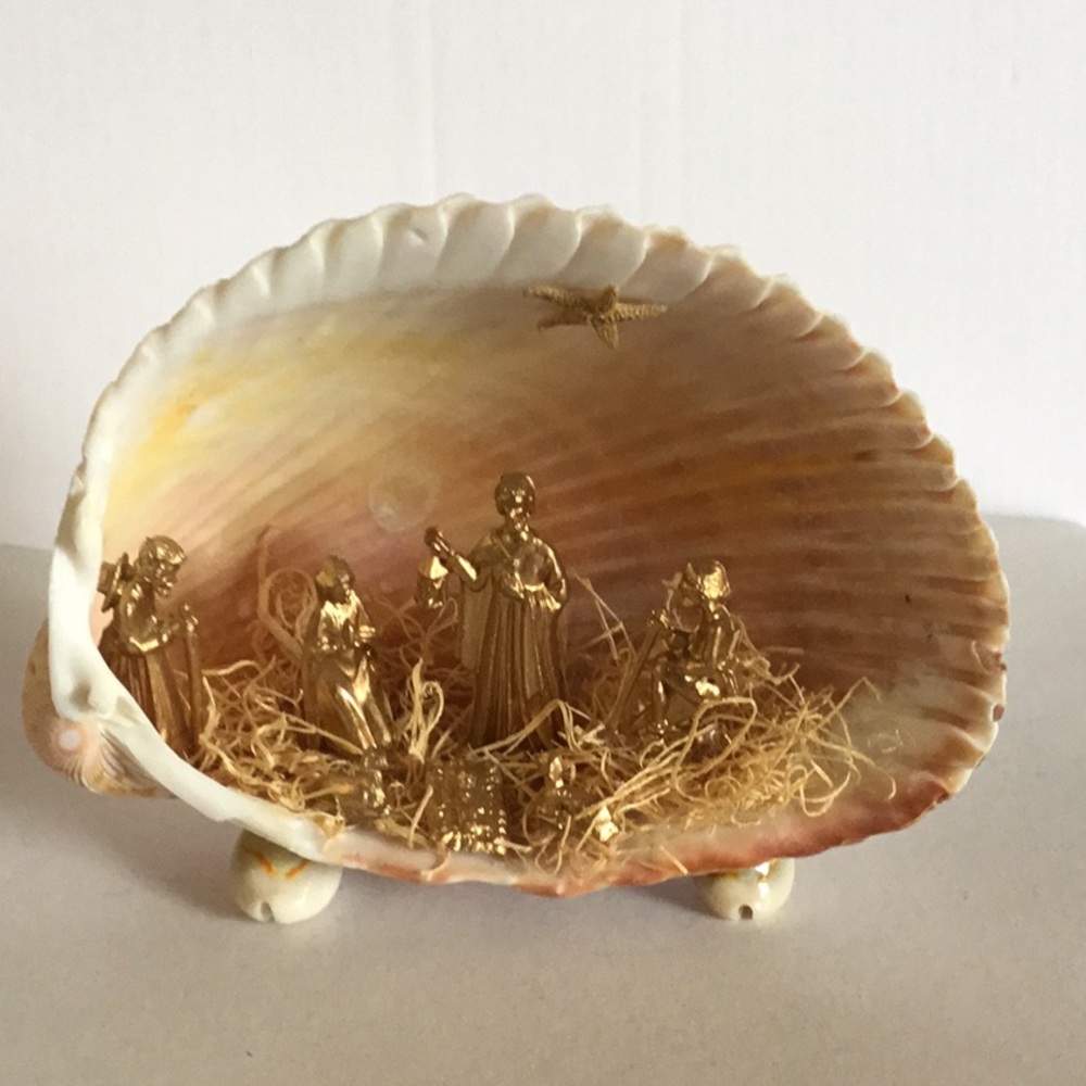NWOB Seashell Native set